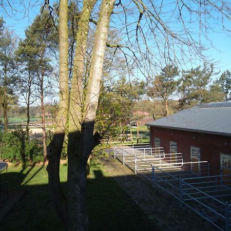 Ferienwohnung Friesenstall Heede Экстерьер фото